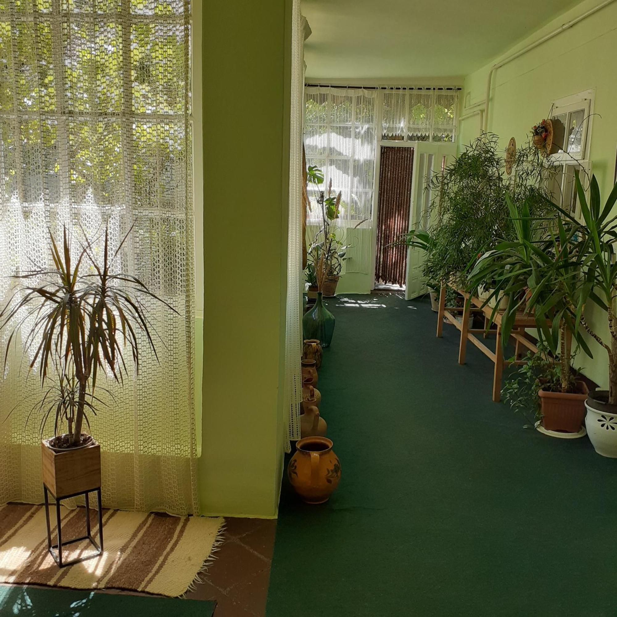 Apartmán Marika Vendeghaz Abádszalók Exteriér fotografie